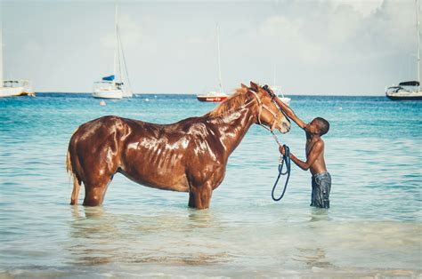 lonely planet barbados|11 of the best things to do in Barbados .